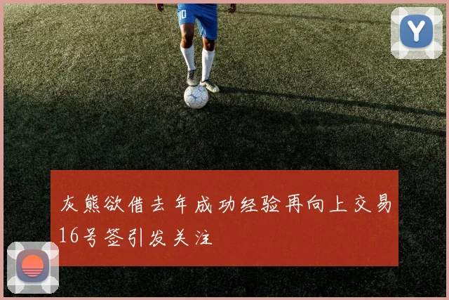 灰熊欲借去年成功经验再向上交易16号签引发关注